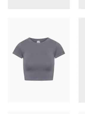 Aritzia Cropped TNA Butter Tee in Slate Gray